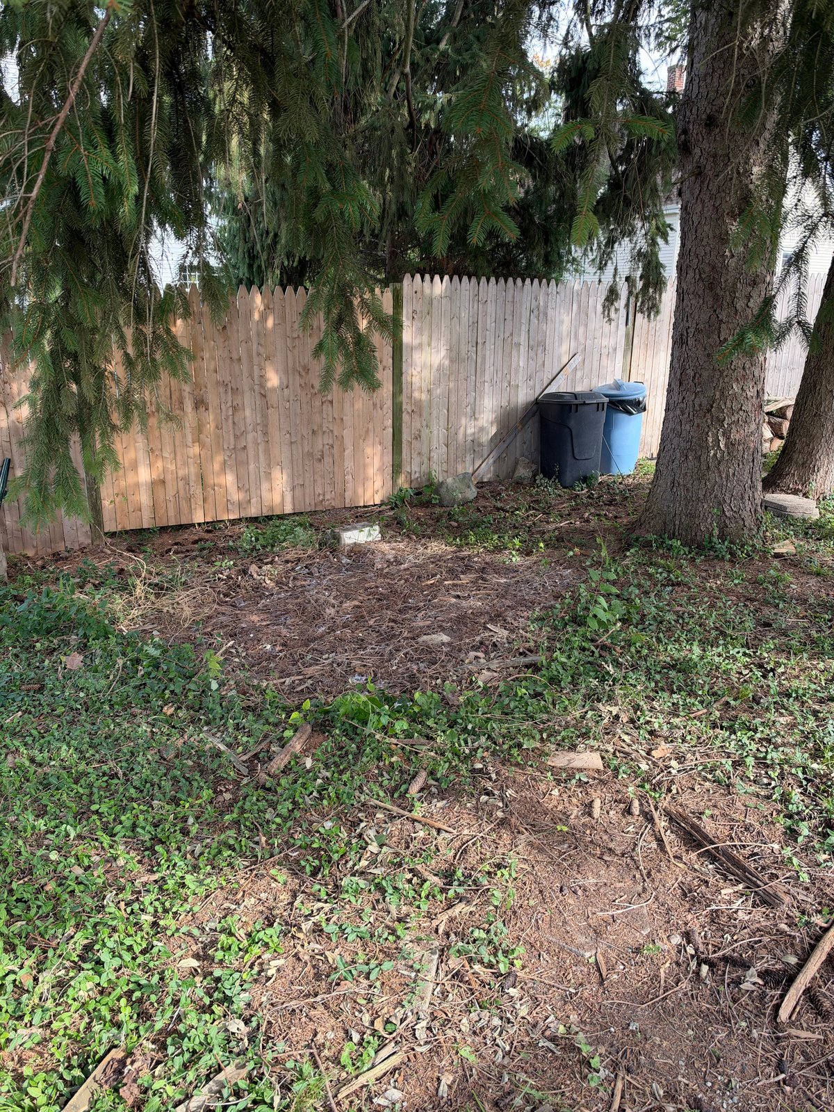 Cleared grassy yard with weathered wooden fence and blue trash bin after junk removal