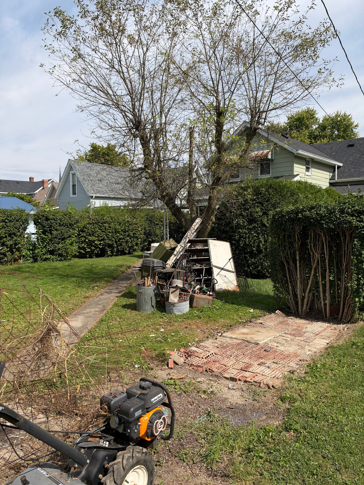 Residential backyard with power generator on ground, large bare tree, hedges, and houses visible in background